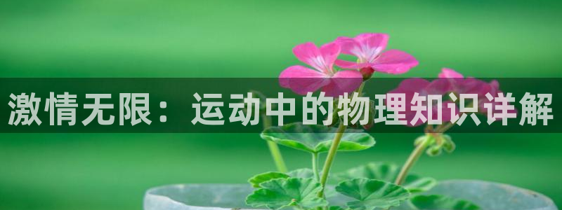 谈球吧