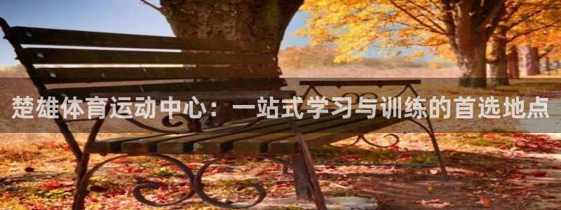 谈球吧