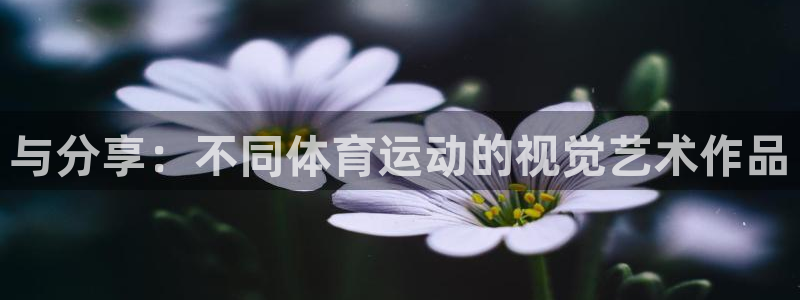 谈球吧体育