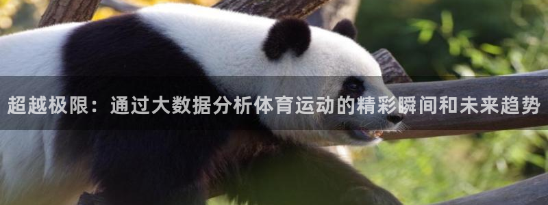 谈球吧