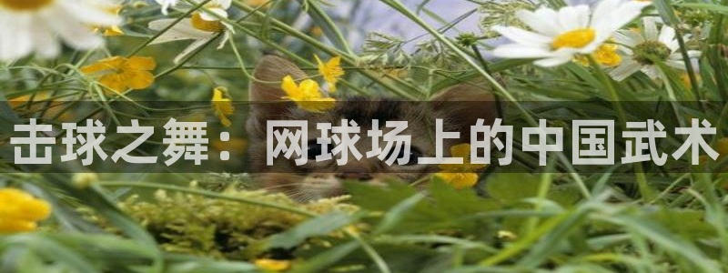 谈球吧体育