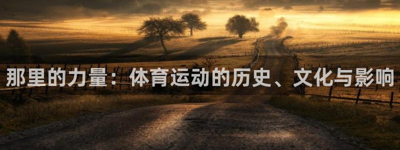谈球吧体育官网