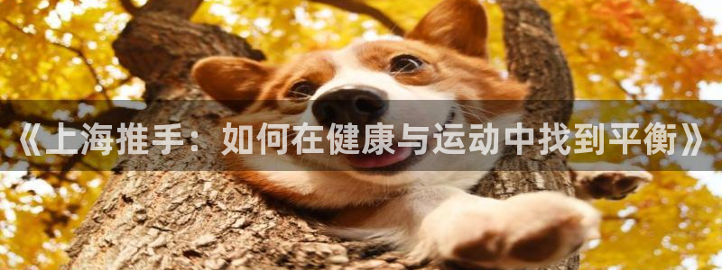 谈球吧体育官网