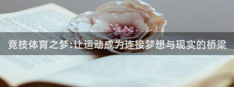 谈球吧体育
